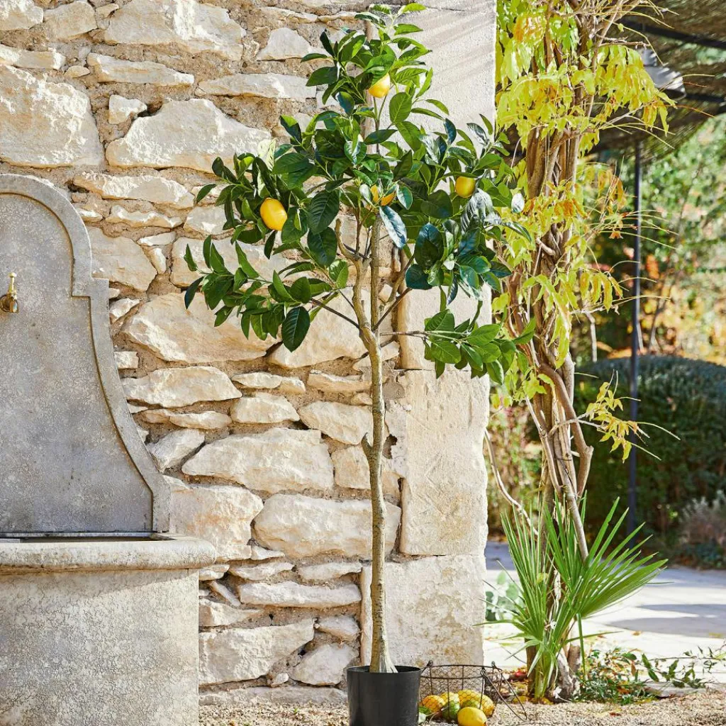 LOBERON Fleurs Séchées Et Artificielles*Arbre décoratif Darfield