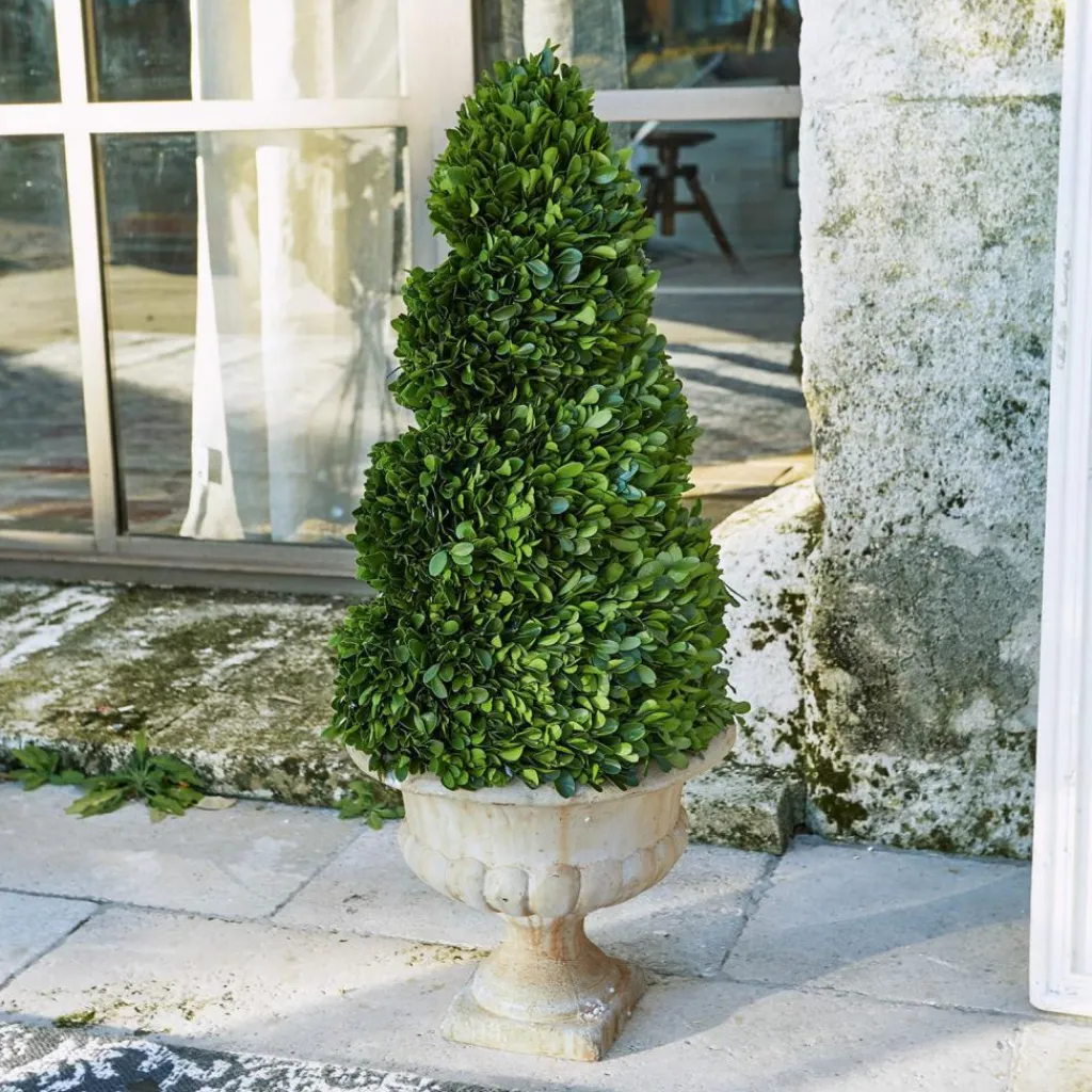 LOBERON Fleurs Séchées Et Artificielles*Arbre décoratif Humbria