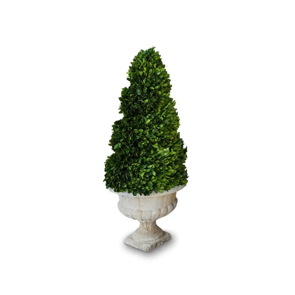 LOBERON Fleurs Séchées Et Artificielles*Arbre décoratif Humbria