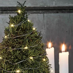 LOBERON Fleurs Séchées Et Artificielles|Décoration*Arbre décoratif Moran