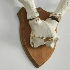 LOBERON Objets Décoratifs De Noël*Bois de cerf décoratifs Talim