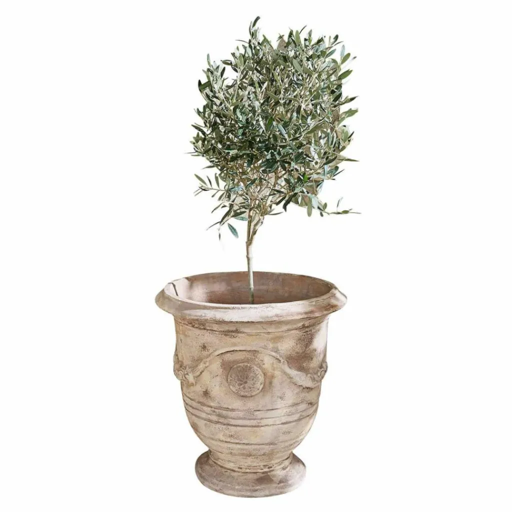LOBERON Cache-Pots Et Amphores*Cache-pot Garwood