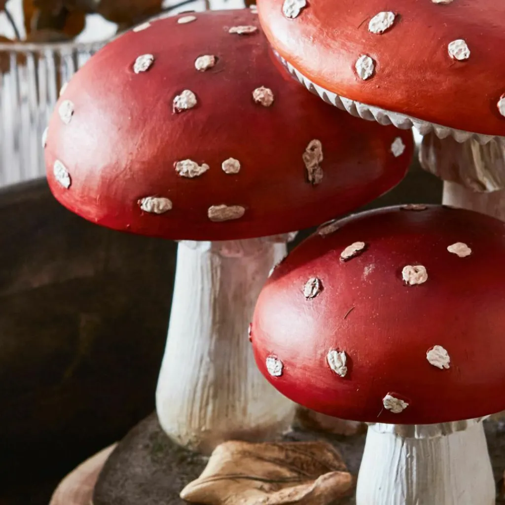 LOBERON Objets Décoratifs|Décoration*Champignons décoratifs Lupton