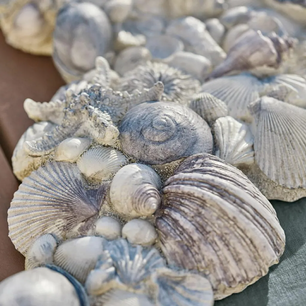 LOBERON Objets Décoratifs|Décoration*Coquillages décoratifs Potnarvin