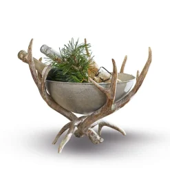 LOBERON Coupes|Coupes Et Pots*Coupe décorative Morlaix