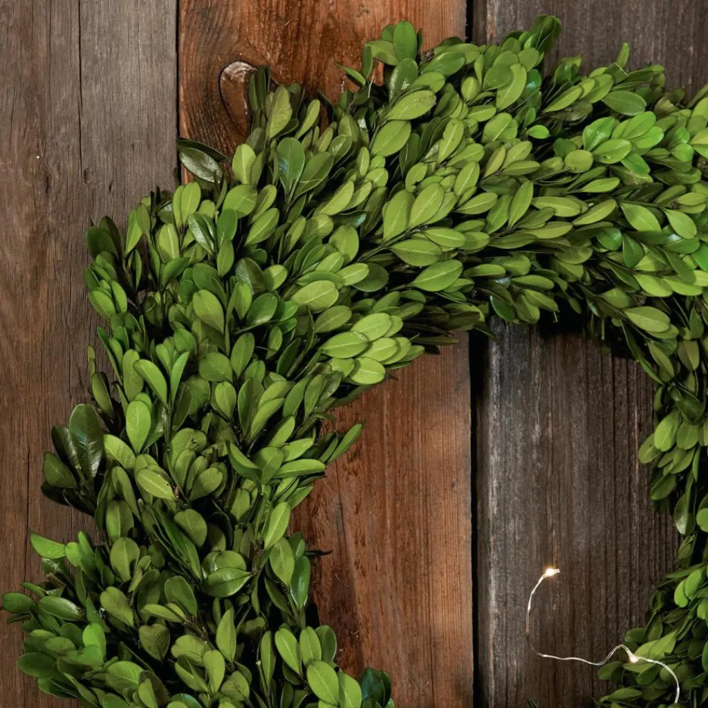 LOBERON Couronnes|Décoration*Couronne Myrcella