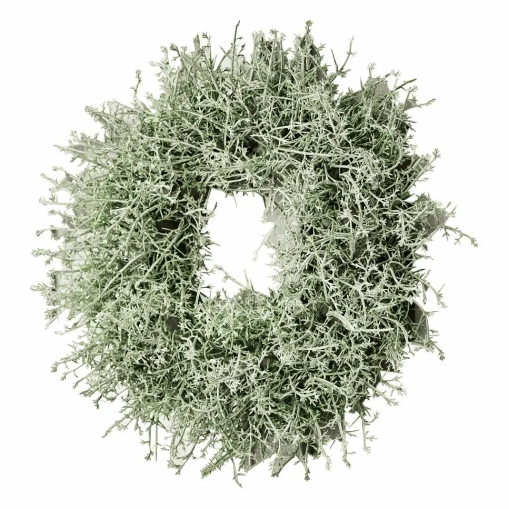 LOBERON Couronnes|Objets Décoratifs*Couronne Senailly