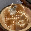 LOBERON Guirlandes Lumineuses|Guirlandes Lumineuses*Guirlande lumineuse Regine