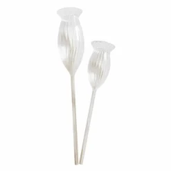 LOBERON Outils De Jardin*Lot de 2 bulles d’arrosage Radisa
