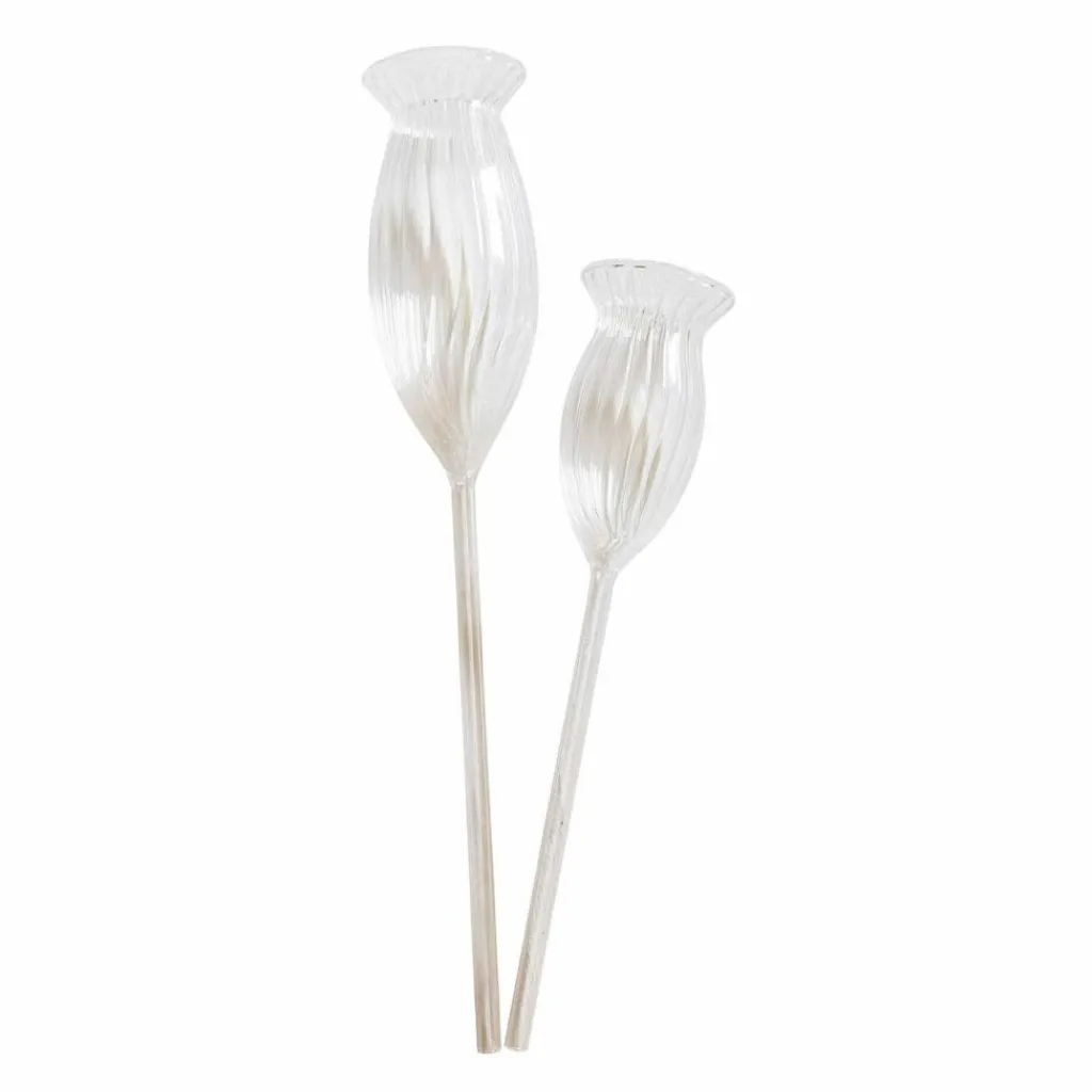 LOBERON Outils De Jardin*Lot de 2 bulles d’arrosage Radisa