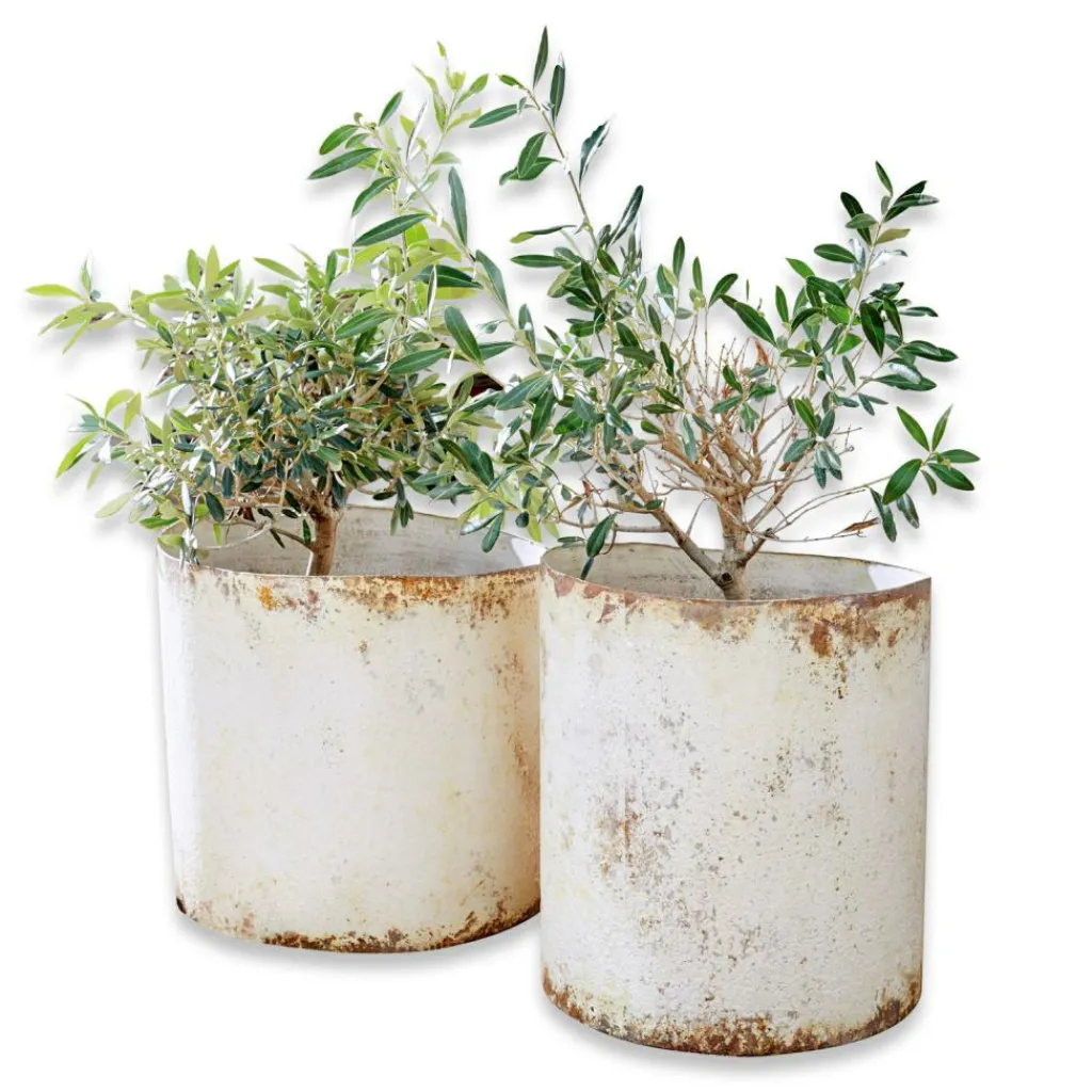 LOBERON Cache-Pots Et Amphores*Lot de 2 cache-pots Sconne