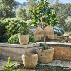 LOBERON Cache-Pots Et Amphores*Lot de 3 cache-pots Serrat