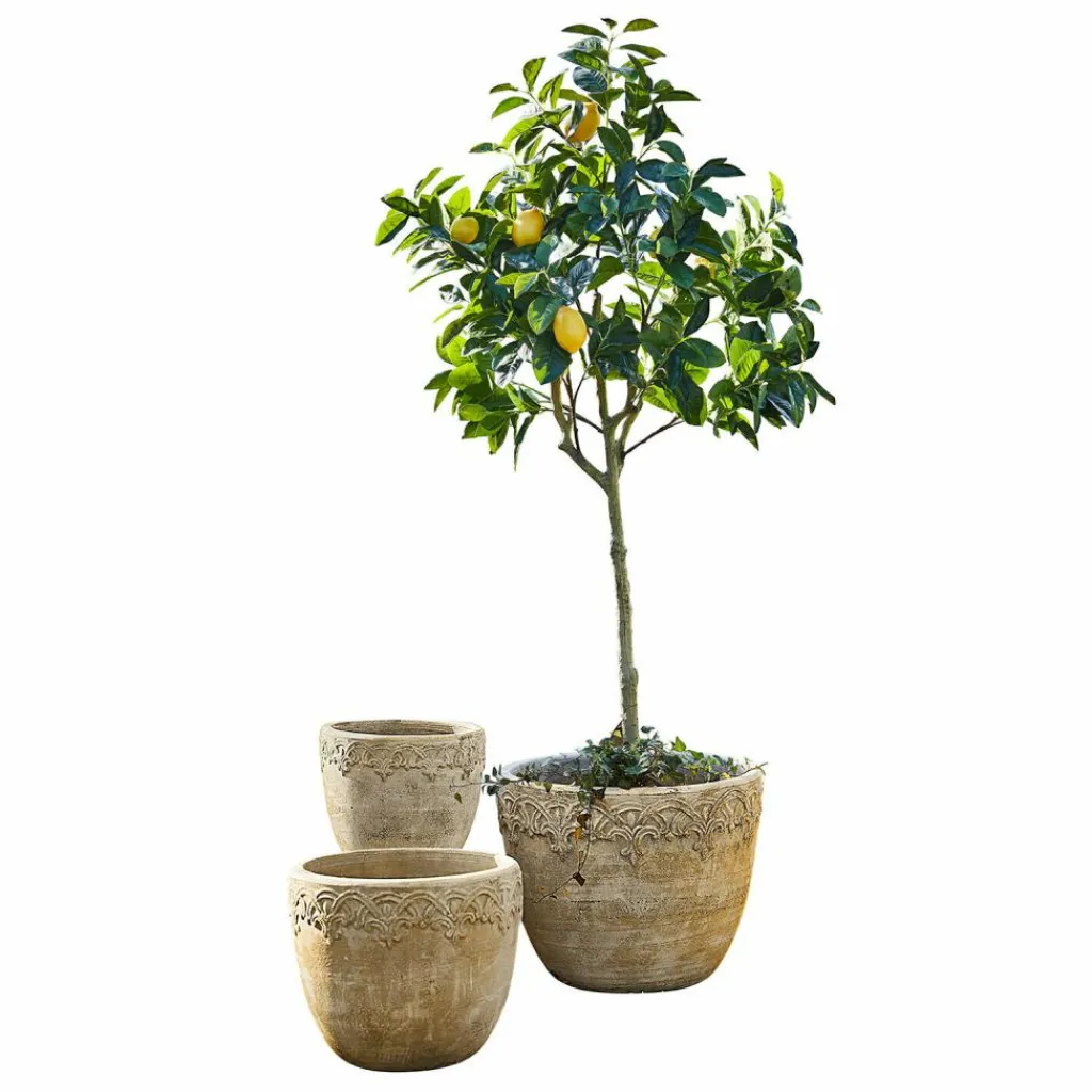 LOBERON Cache-Pots Et Amphores*Lot de 3 cache-pots Serrat