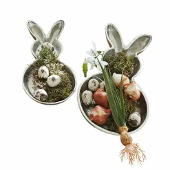 LOBERON Coupes*Lot de 2 coupelles Morive