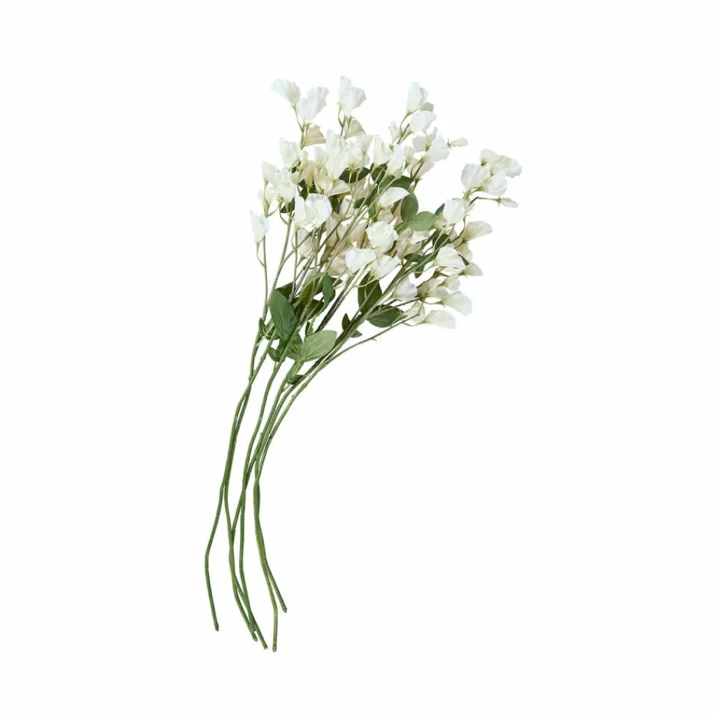 LOBERON Fleurs Séchées Et Artificielles|Décoration*Lot de 6 fleurs Clavigny