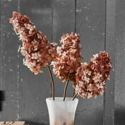 LOBERON Fleurs Séchées Et Artificielles|Décoration*Lot de 3 fleurs décoratives Ylvi
