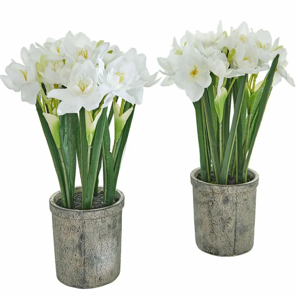 LOBERON Fleurs Séchées Et Artificielles|Décoration*Lot de 2 fleurs décoratives Soralen