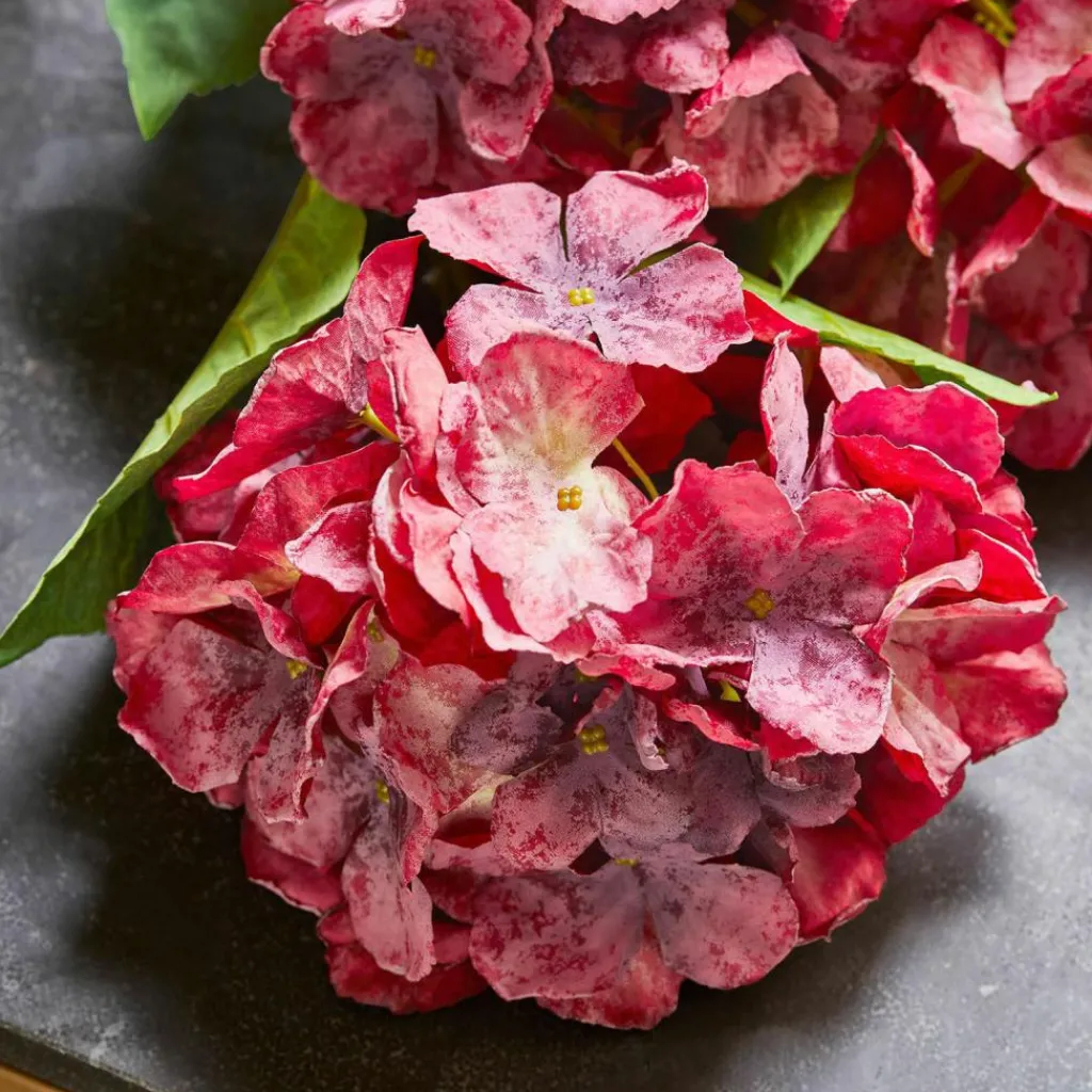 LOBERON Fleurs Séchées Et Artificielles|Décoration*Lot de 3 fleurs décoratives Virette