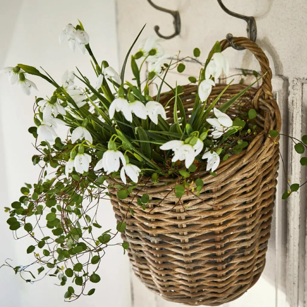 LOBERON Fleurs Séchées Et Artificielles|Décoration*Lot de 12 fleurs décoratives Willmare