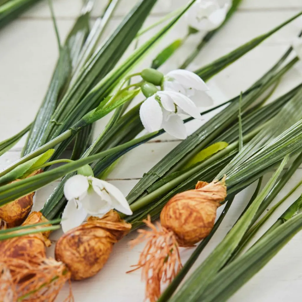 LOBERON Fleurs Séchées Et Artificielles|Décoration*Lot de 12 fleurs décoratives Willmare