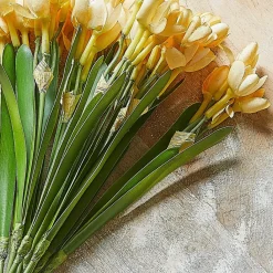 LOBERON Fleurs Séchées Et Artificielles|Décoration*Lot de 12 fleurs décoratives Ilvera
