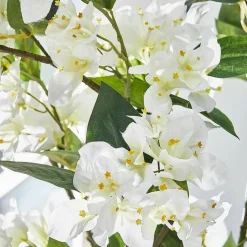 LOBERON Fleurs Séchées Et Artificielles|Décoration*Lot de 6 fleurs décoratives Nireval