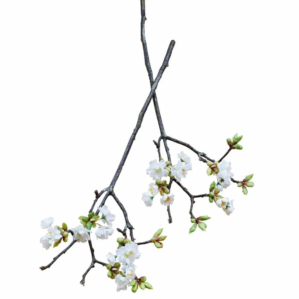LOBERON Fleurs Séchées Et Artificielles|Décoration*Lot de 2 fleurs décoratives Gráda