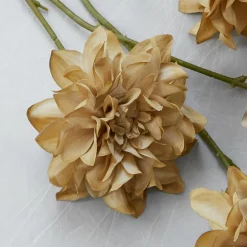 LOBERON Fleurs Séchées Et Artificielles|Décoration*Lot de 4 fleurs décoratives Cappellina