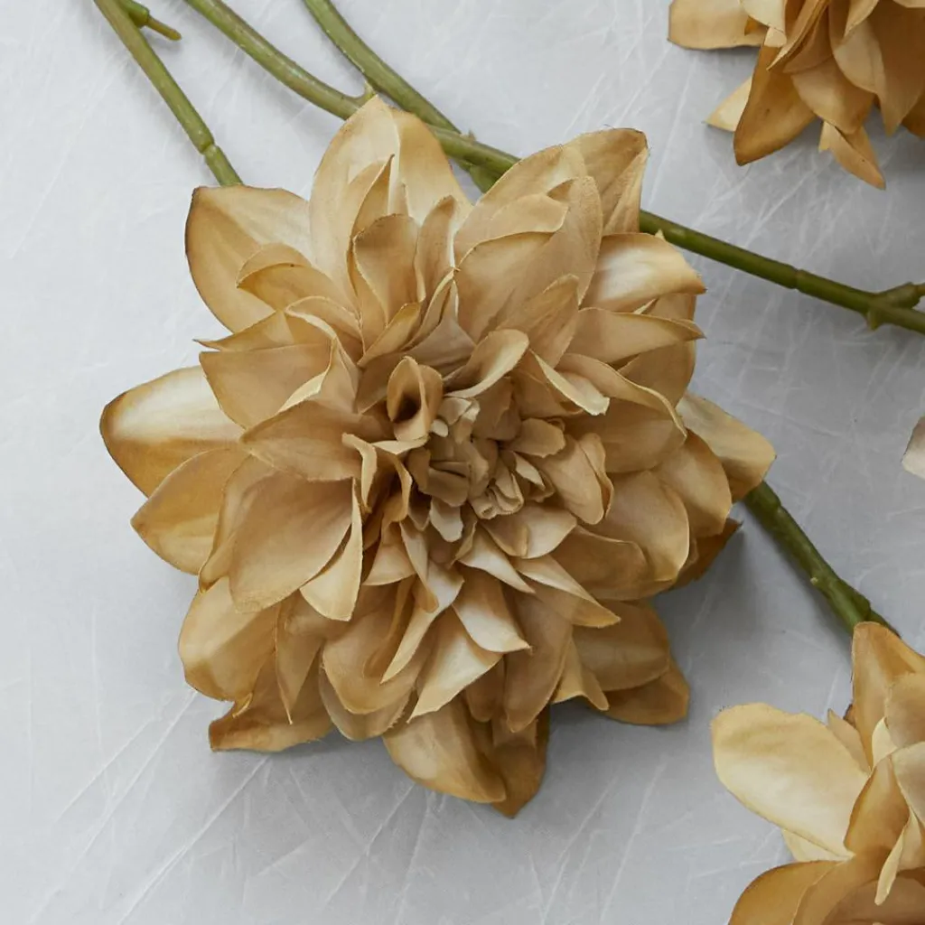 LOBERON Fleurs Séchées Et Artificielles|Décoration*Lot de 4 fleurs décoratives Cappellina