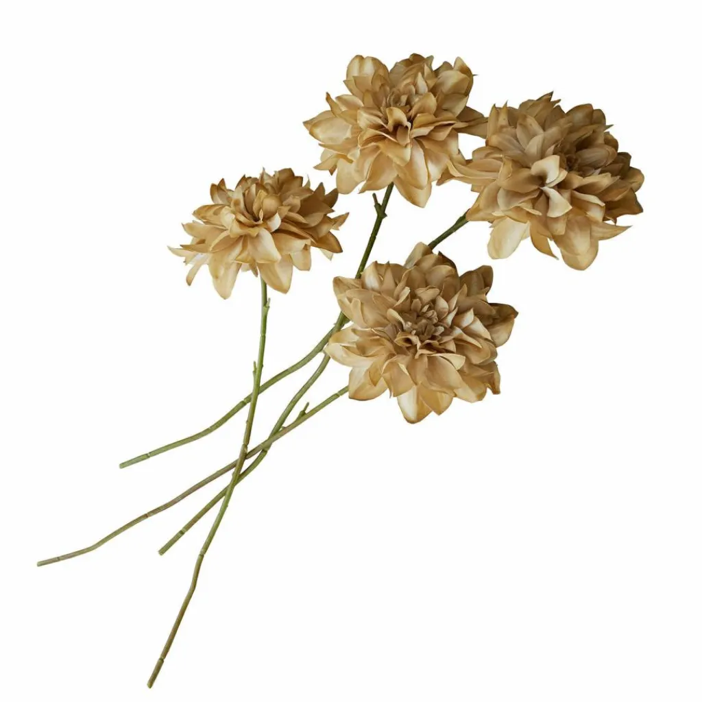 LOBERON Fleurs Séchées Et Artificielles|Décoration*Lot de 4 fleurs décoratives Cappellina