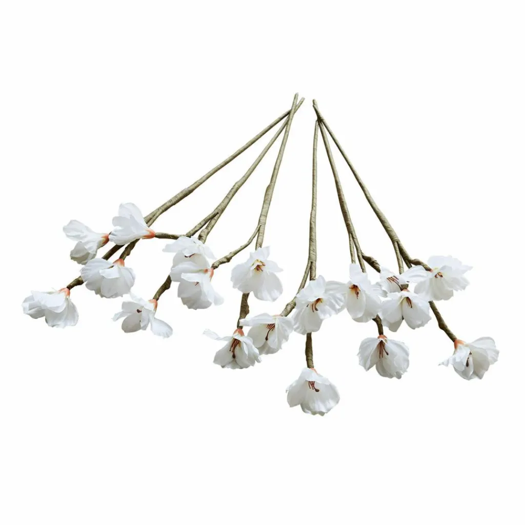 LOBERON Fleurs Séchées Et Artificielles|Décoration*Lot de 6 fleurs décoratives Xivale