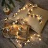 LOBERON Guirlandes Lumineuses|Guirlandes Lumineuses*Lot de 2 guirlandes lumineuses LED Crane