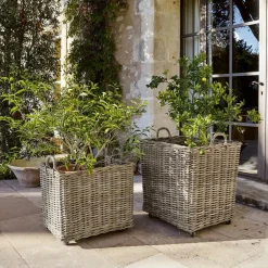 LOBERON Cache-Pots Et Amphores*Lot de 2 paniers à plantes Gialousa