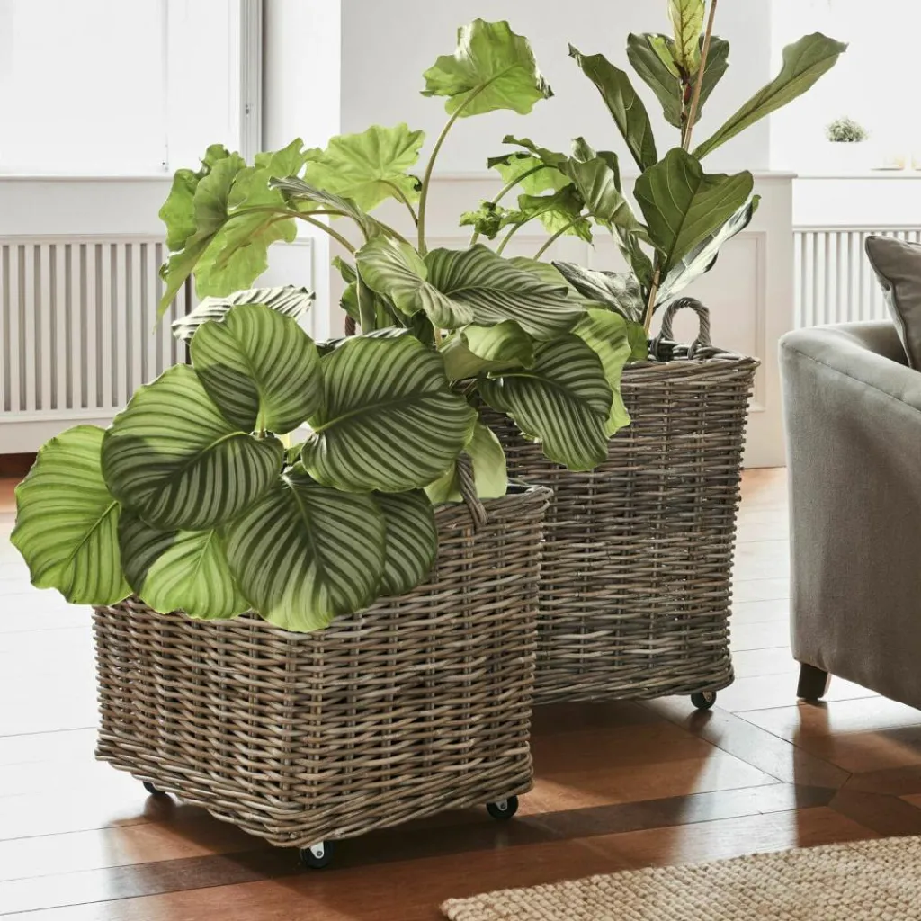 LOBERON Cache-Pots Et Amphores*Lot de 2 paniers à plantes Gialousa
