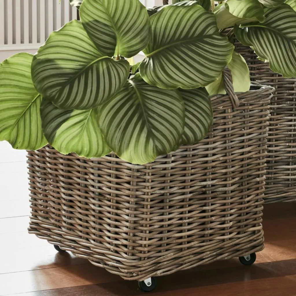 LOBERON Cache-Pots Et Amphores*Lot de 2 paniers à plantes Gialousa