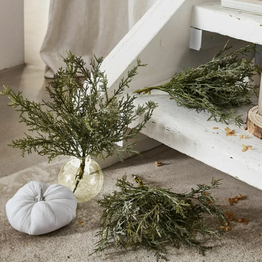 LOBERON Emballages Cadeaux|Fleurs Séchées Et Artificielles*Lot de 3 plantes décoratives Emmet