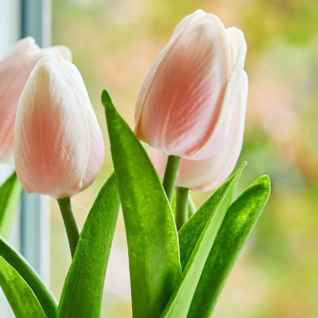 LOBERON Fleurs Séchées Et Artificielles|Décoration*Lot de deux pots de tulipes décoratives Zéphine