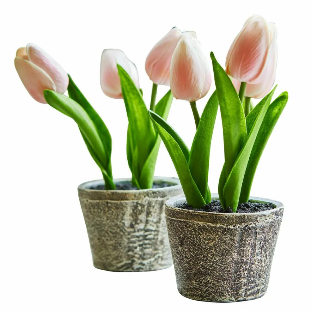 LOBERON Fleurs Séchées Et Artificielles|Décoration*Lot de deux pots de tulipes décoratives Zéphine