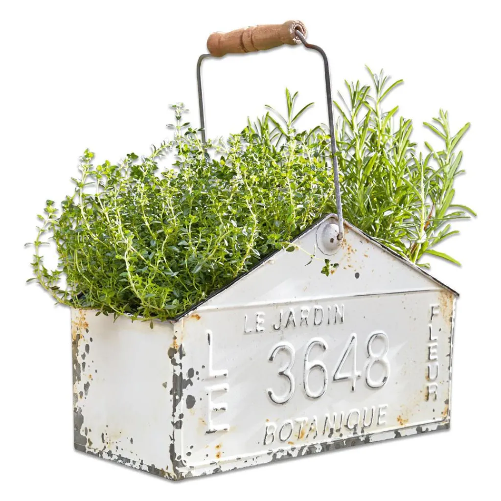 LOBERON Caisses Et Paniers|Cache-Pots*Panier Botanique