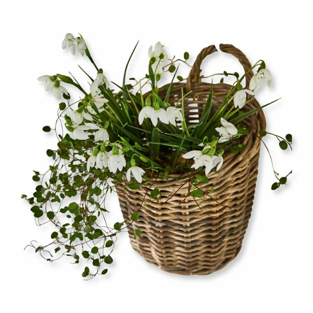 LOBERON Caisses Et Paniers|Rangements*Panier Korovu