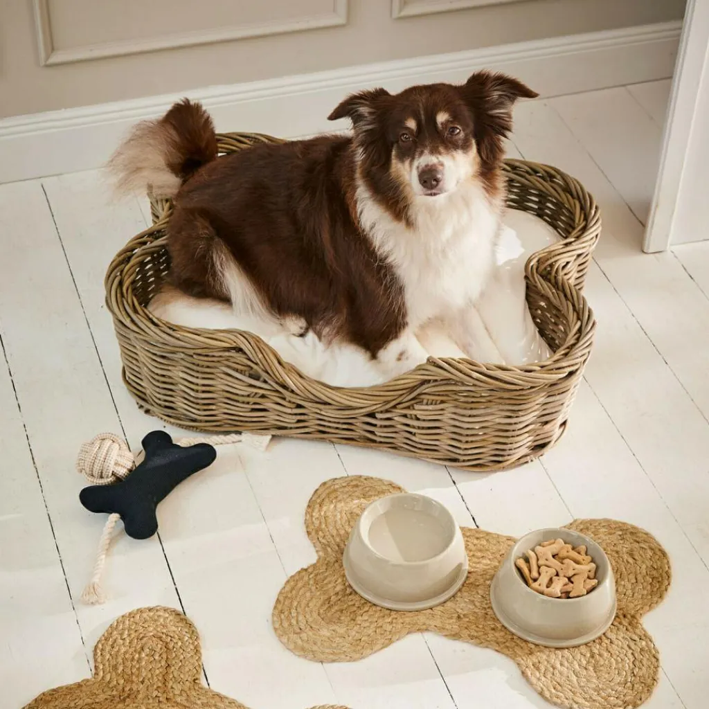 LOBERON Meubles Et Couchages|Couchages Pour Animaux*Panier pour animaux Ninloo
