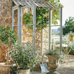 LOBERON Fleurs Séchées Et Artificielles|Décoration*Plante décorative Delbart