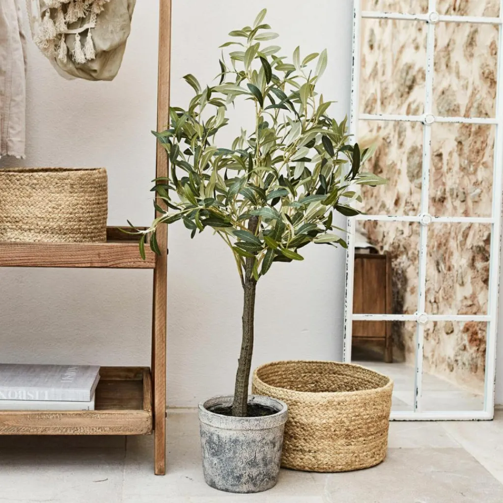 LOBERON Fleurs Séchées Et Artificielles|Décoration*Plante décorative en pot Mariuccia
