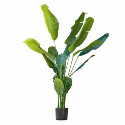 LOBERON Fleurs Séchées Et Artificielles|Décoration*Plante décorative Lennidas
