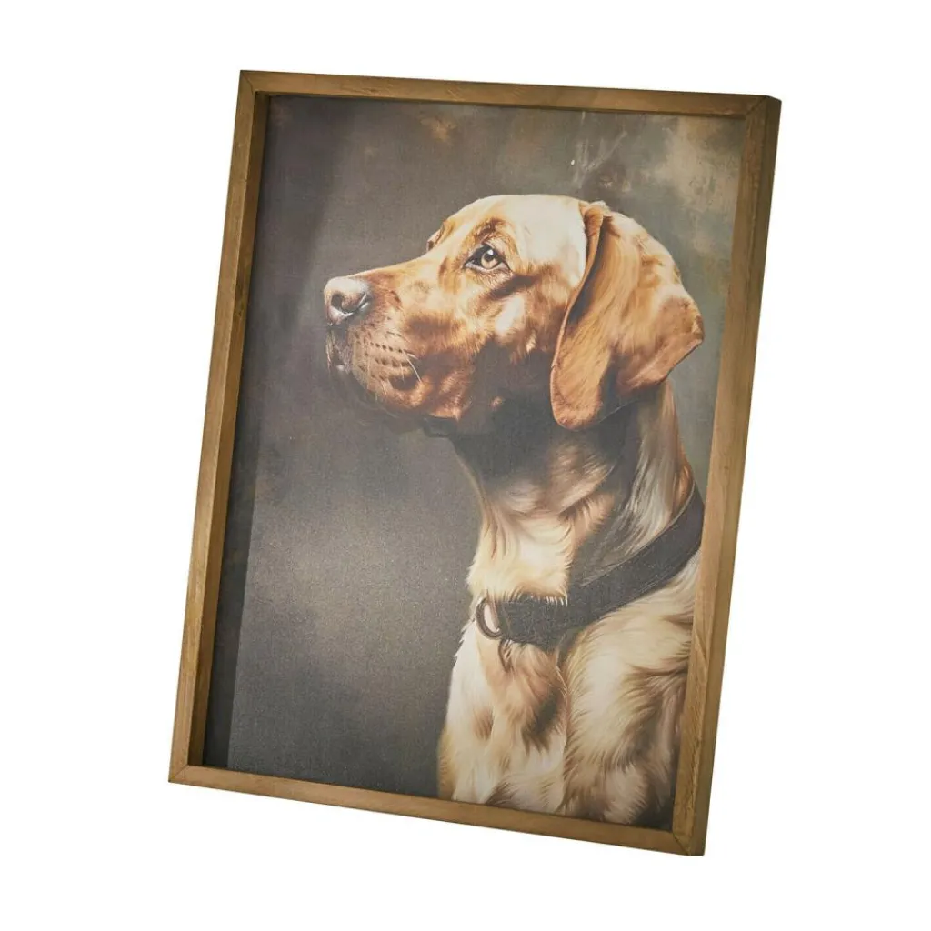 LOBERON Accessoires Et Jouets|Accessoires Pour Animaux*Tableau Purrana