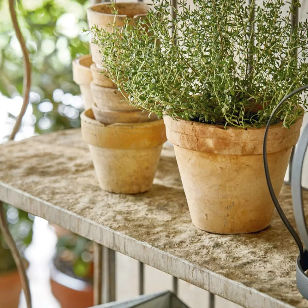 LOBERON Étagères À Plantes*Étagère Rentlor