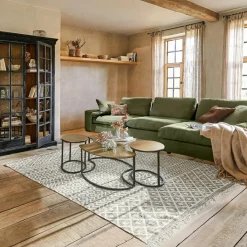 LOBERON Tapis D’Extérieur Et D’Intérieur*Tapis d'intérieur et d'extérieur Champigny