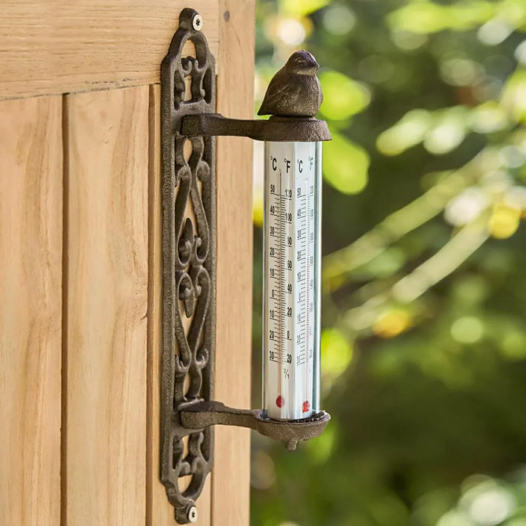 LOBERON Outils De Jardin*Thermomètre Binyamin