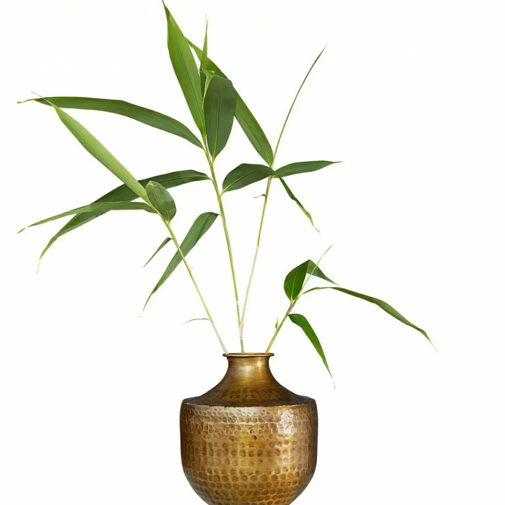 LOBERON Vases|Vases Et Cache-Pots*Vase Saamira